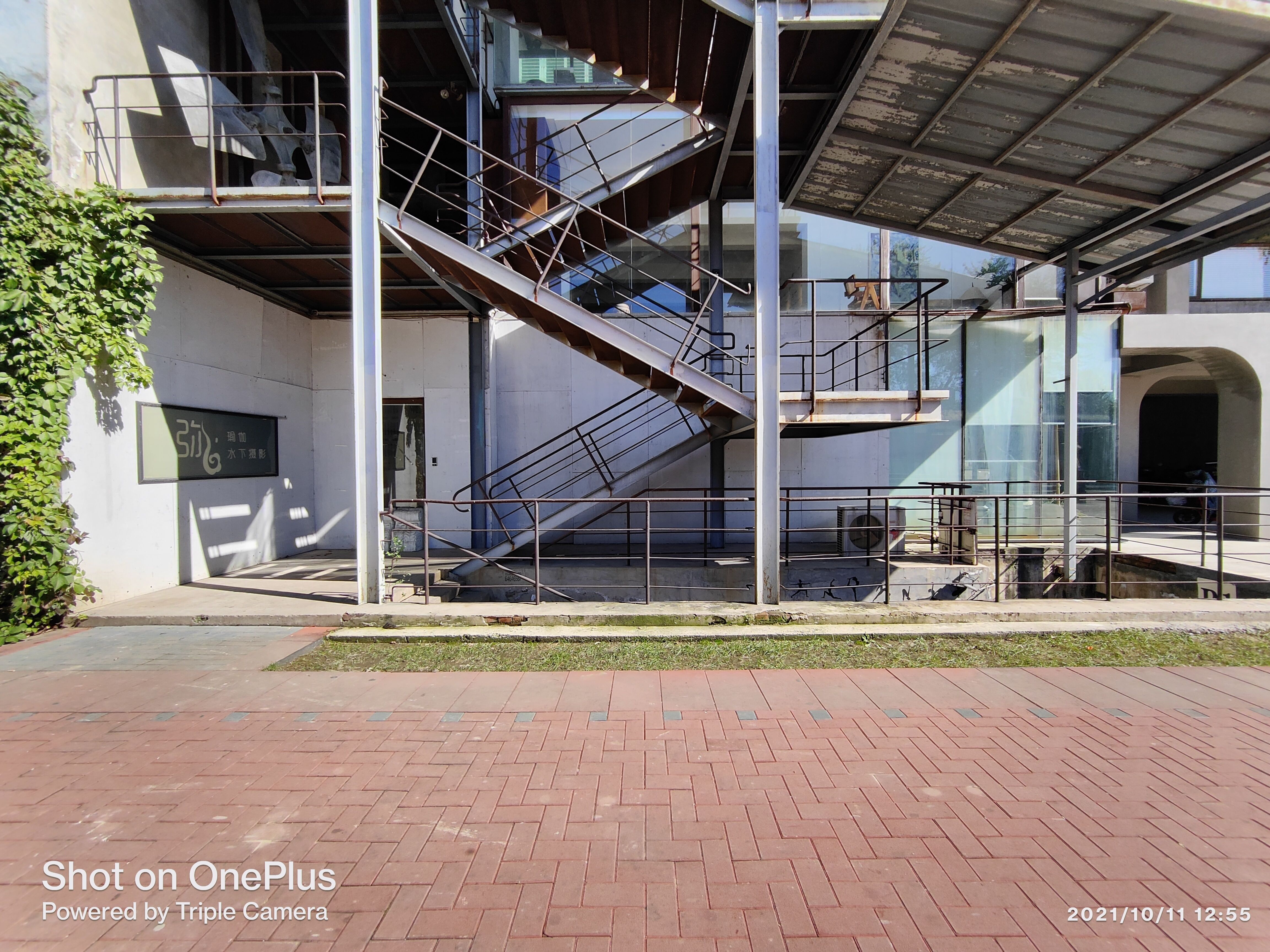 一加9RT体验:用上全新E4直屏和ColorOS12,直屏*党**的新选择?