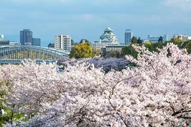 形容人美丽的英语单词,形容一个人的美貌的英语单词