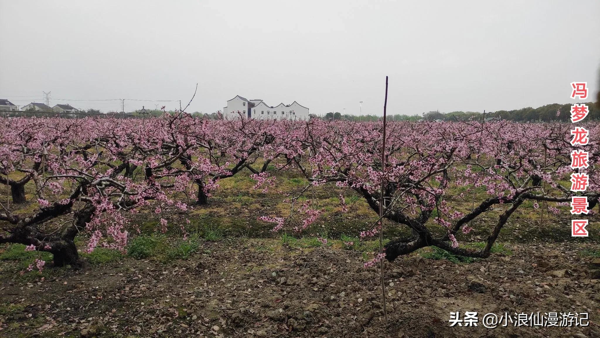 苏州免费景点排名榜前十名,苏州60岁免费景点大全