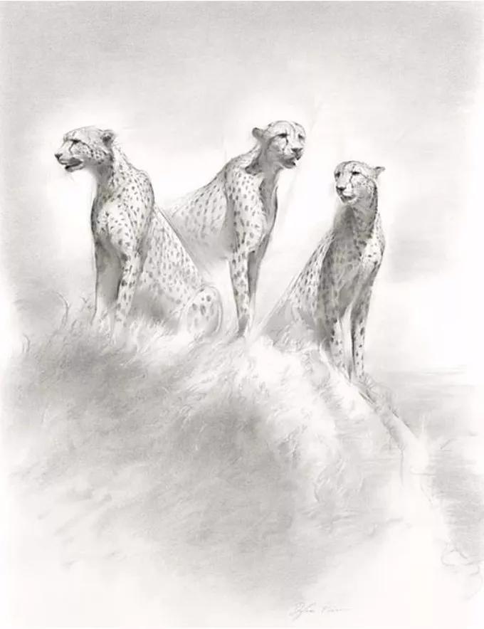 异域奇境、恍如隔世,迪兰·斯科特·皮尔斯的水彩画,真的超美