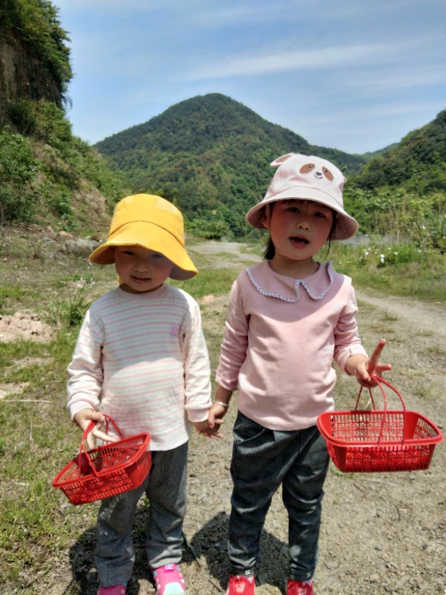 爬山摘覆盆子,汤溪摘覆盆子