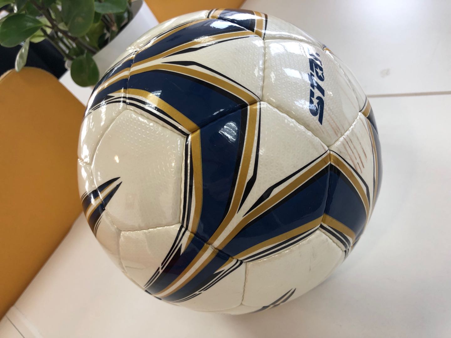 惠若琪潘晓婷张豆豆,中国体坛10大美女潘晓婷垫底