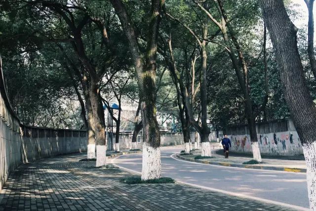 去武汉必逛的6条街,武汉必走的十条街