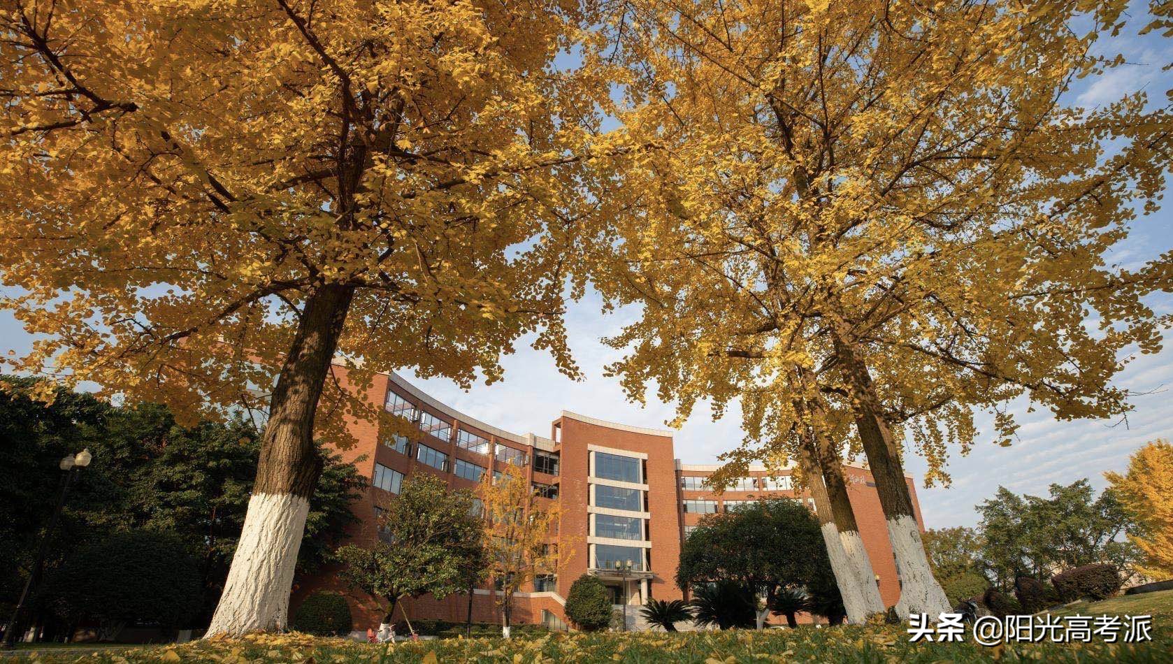 成都大学值得去吗,成都大学靠谱吗