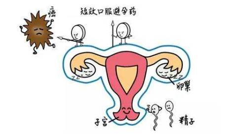 避孕药~那些年你们对它产生的误解~