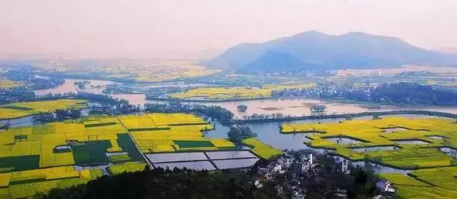 安徽春天去哪看花,安徽春天赏花攻略景点推荐