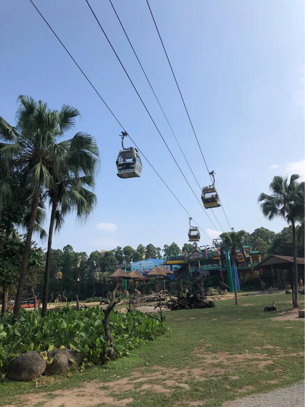 暑期广州长隆野生动物世界门票,长隆海洋王国和野生动物园门票