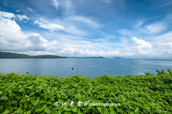 这个荒岛超多海胆和鲍鱼，但不能抓只能看，登岛还必须入境香港