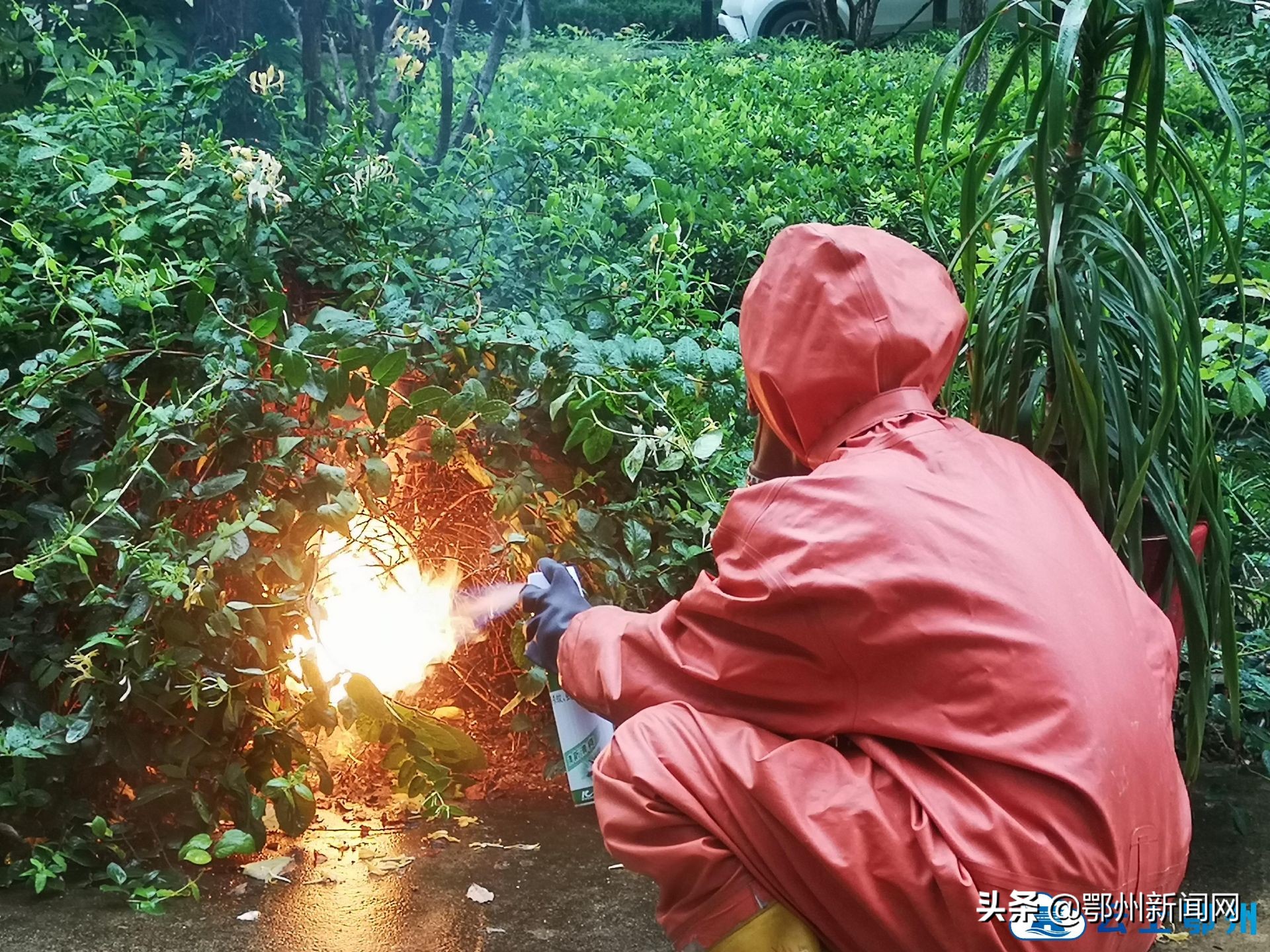 发现有马蜂窝怎么正确向消防求助,家里有马蜂窝打119不来处理怎么办