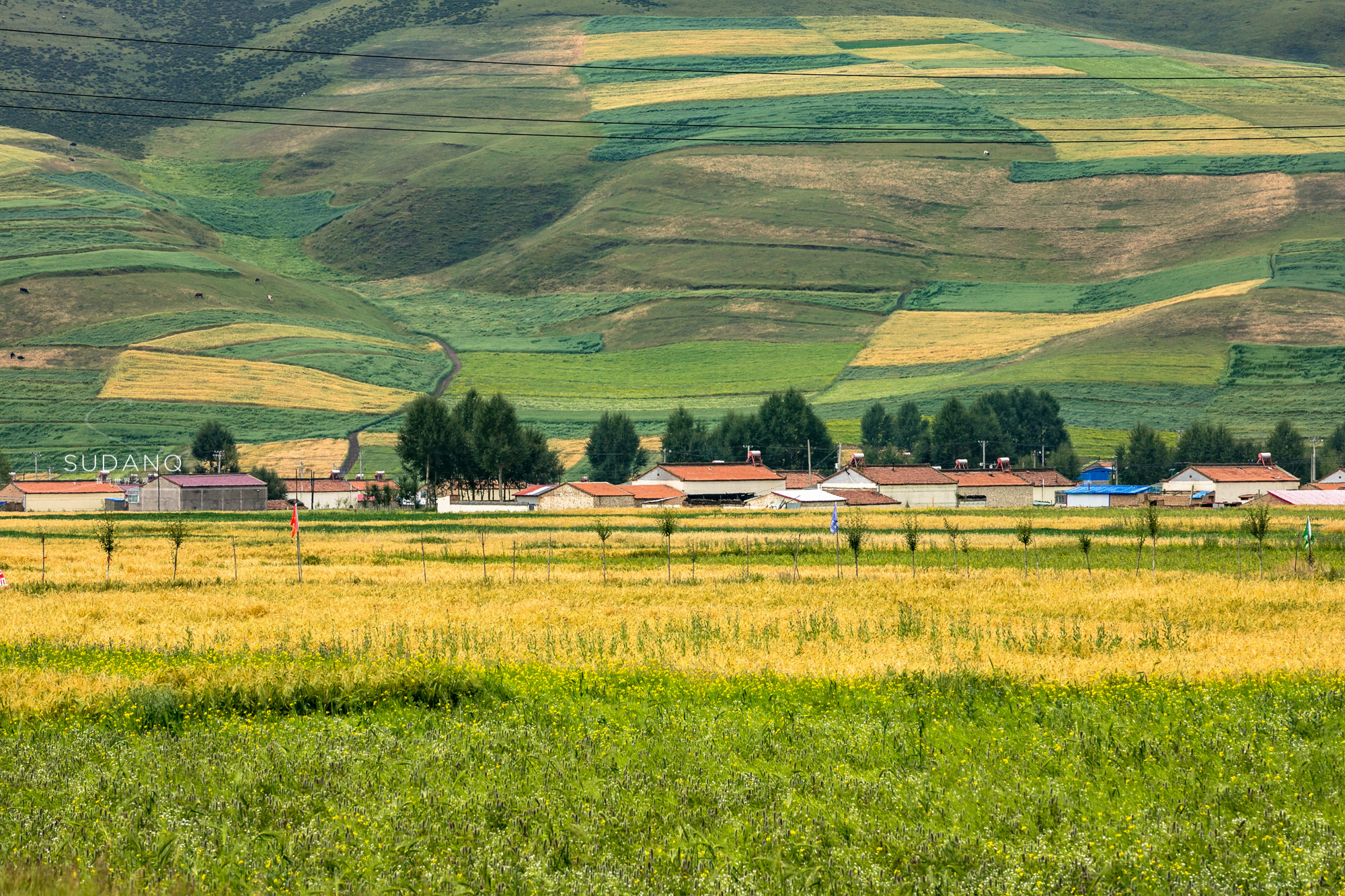自驾游昆仑山大峡谷,祁连探秘
