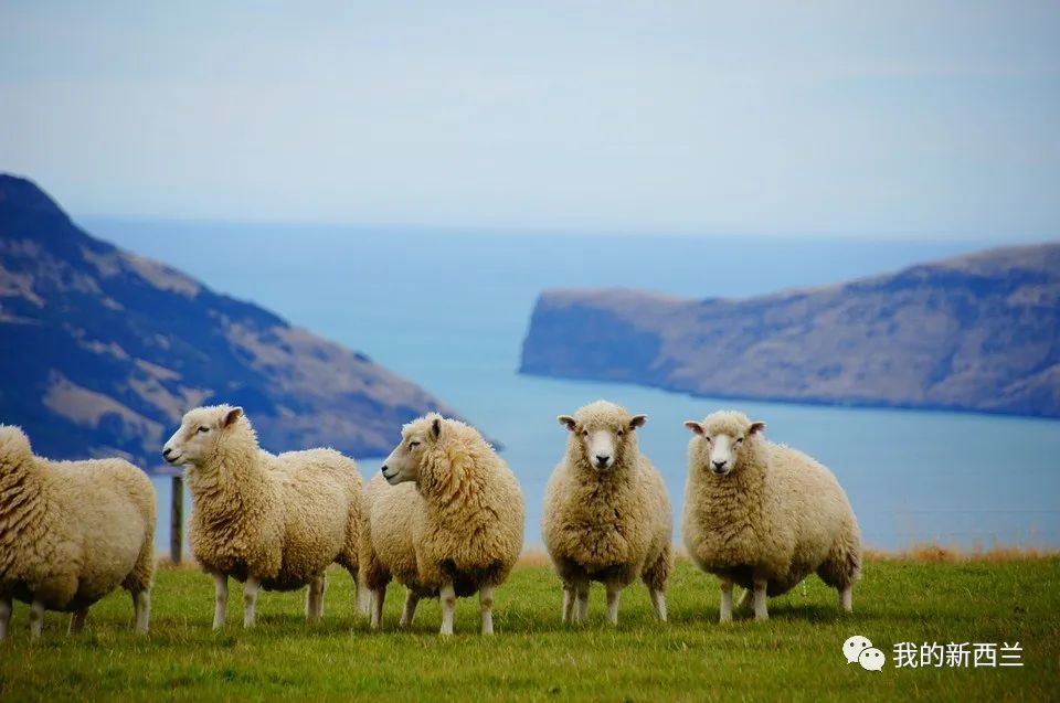 疫情下给自己的10句话,疫情下的锻炼说说短句