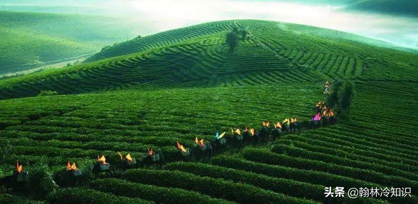 为什么中国人喜欢喝热茶,外国人为什么喝红茶不喝绿茶