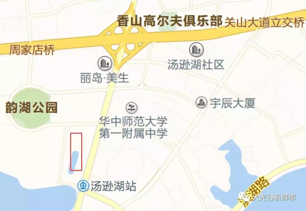 武汉江夏新建的学校,武汉江夏贵族小学