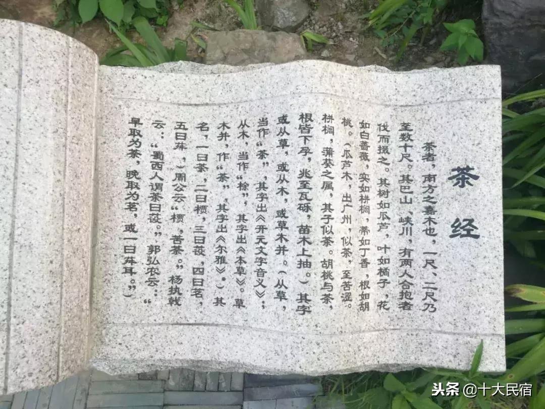 浙江长兴农家乐400元包吃住的民宿,长兴农家乐10月3日到5月三日游