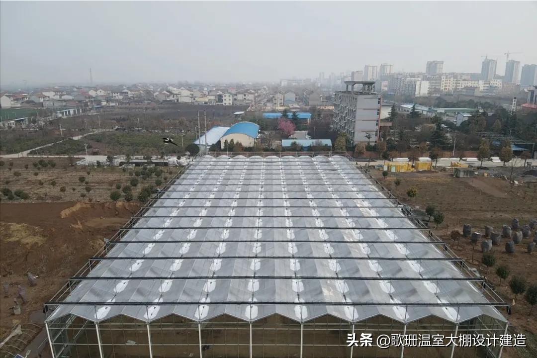 pc透明阳光板温室大棚,连栋阳光板温室大棚的建造