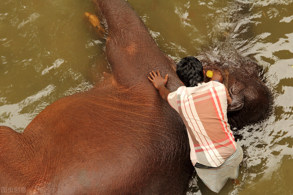 印度人说咖喱味英文,印度英语咖喱味日本英语什么味