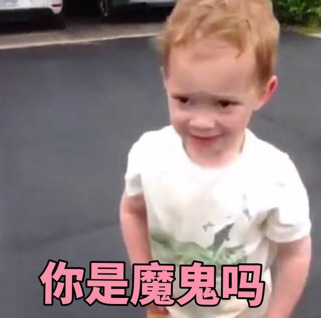 欧拉数学之王完整版,数学大师欧拉的传奇一生