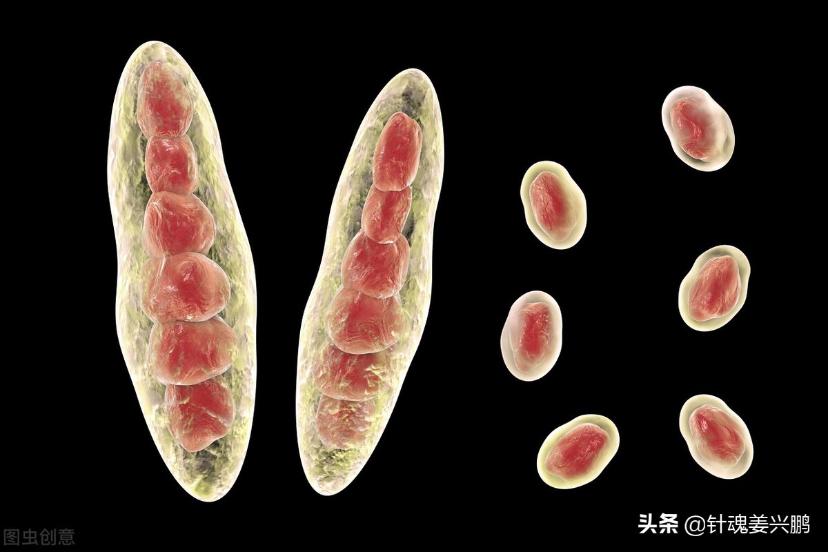 脚气真菌怎么治才能除根,脚气真菌如何治才能根除