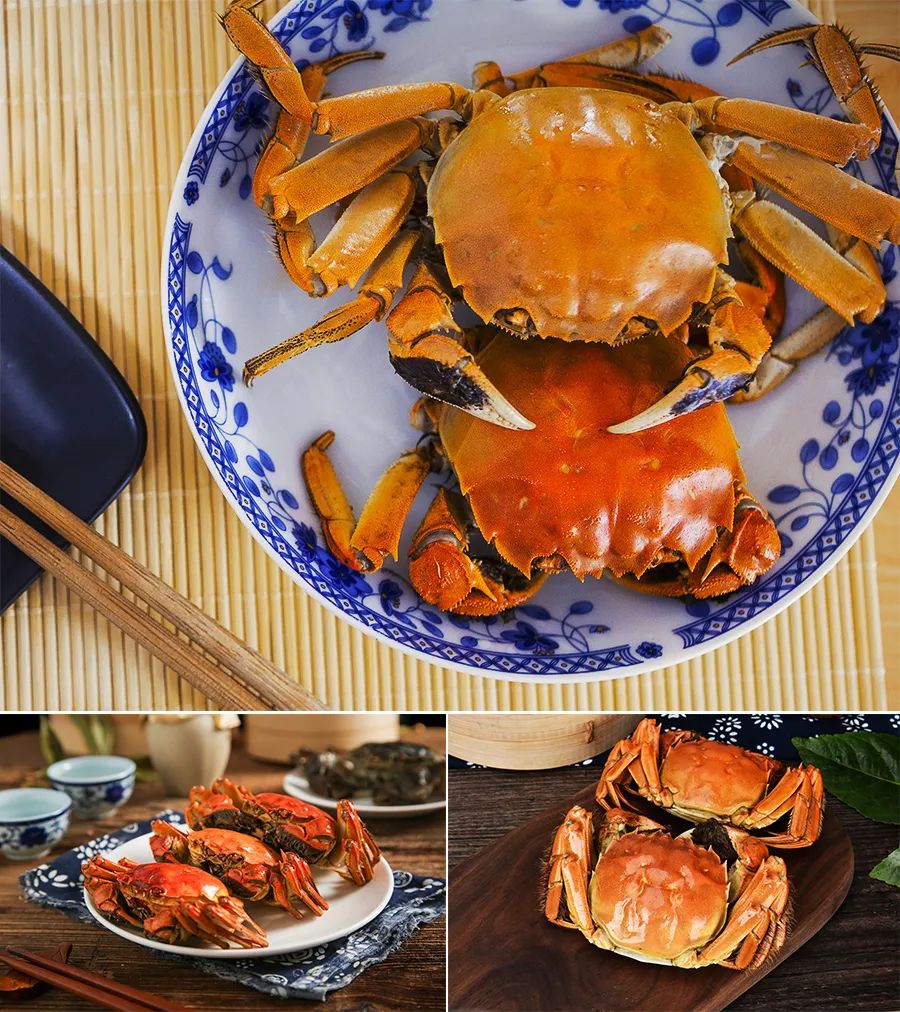 儿童画教程秋风起菊花开,儿童画秋风落叶