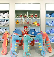 沈阳七星海世界乐园门票多少钱,沈阳七星海世界主题乐园开放时间