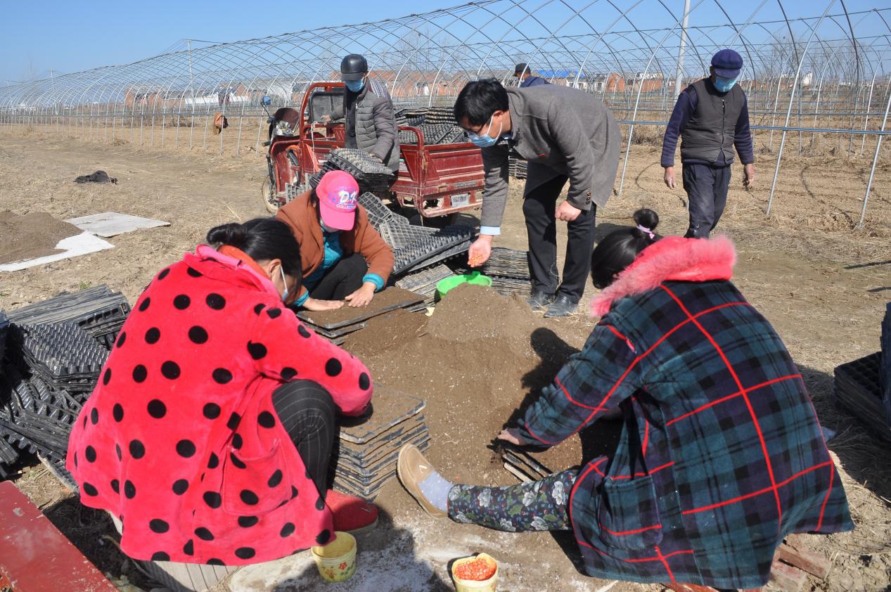 战疫情保春耕预防倒春寒,战疫情保春耕生产