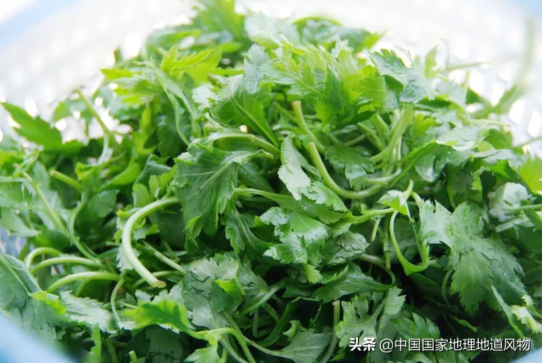 鲜甜咸香，“内斗”江苏到底什么味儿？