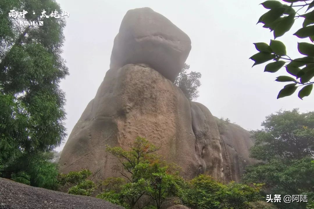 海上仙都太姥山阅读,福鼎太姥山5a景区海上仙都