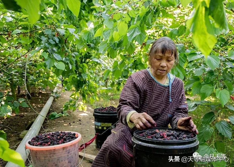 天等抢劫,天等抢钱案
