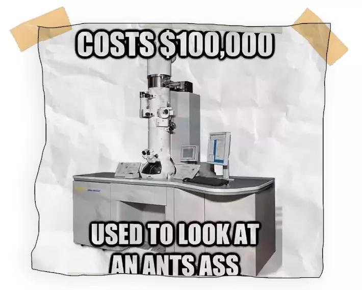 跳蚤在显微镜下长什么样,把显微镜放大40亿倍