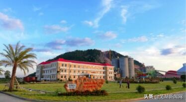 海螺中国500强企业排名,海螺进入500强