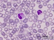 铲屎官对猫做了什么,铲屎官对冬天的猫咪都有哪些误解