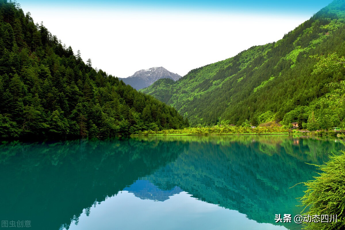 舌尖上的中国四川美食,舌尖上的四川美食