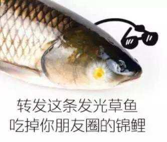 实况新时刻c罗,实况最强时刻c罗