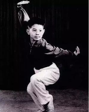 甄子丹李连杰历史对决视频,甄子丹与李连杰身体差距很大