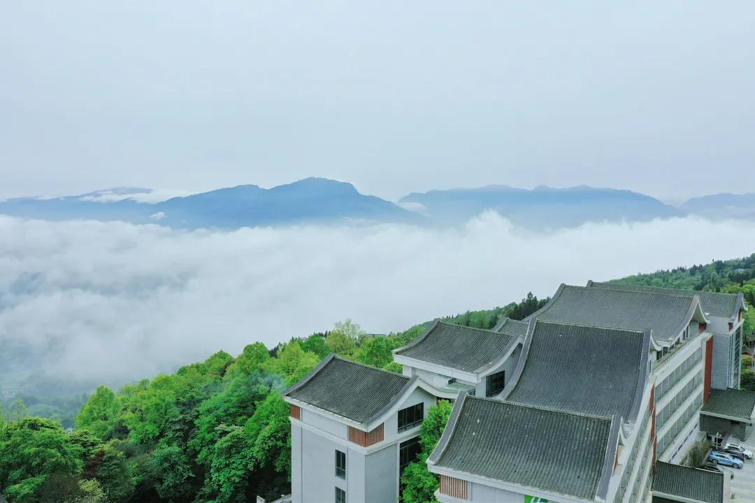 又见蒙顶云海，蒙顶山皇茶大酒店“观海”视野刚刚好！