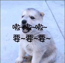 去泰国旅游怎么快速学会和泰国人沟通