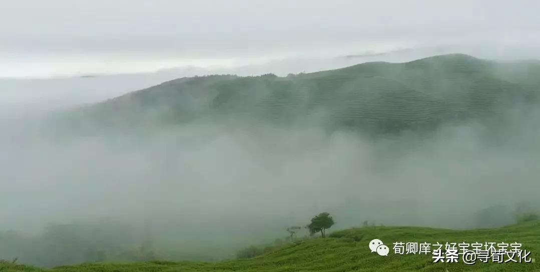韩非子外储说左上翻译节选,韩非子外储说左上楚厉王