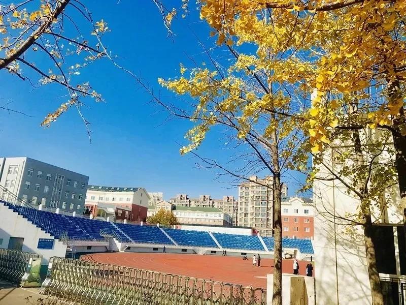 多个运动场馆免费开放,动起来体育公园