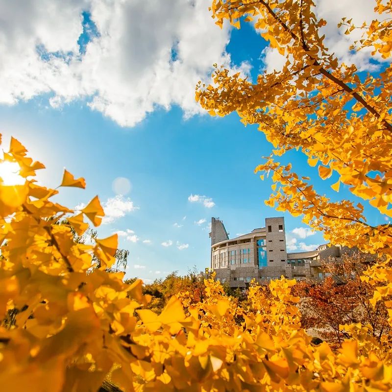 “院”来如此|“大东软”计算机与软件学院等你来