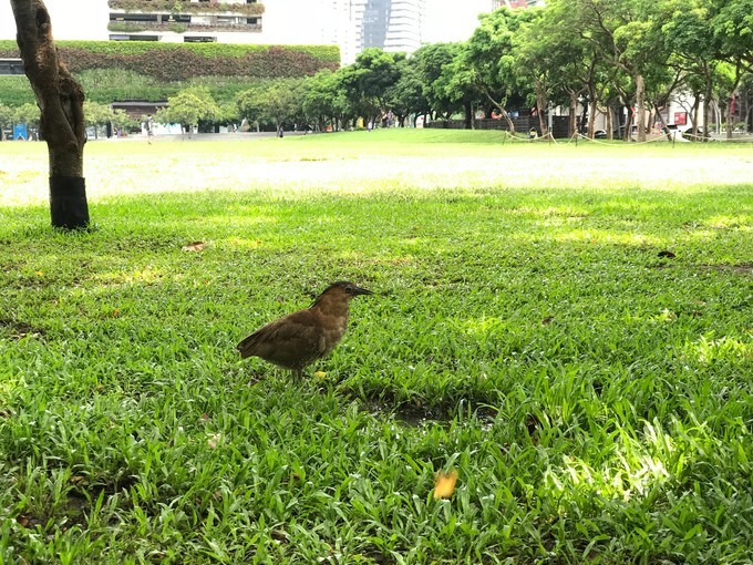 台湾环岛15天自由行攻略,台湾自由行环岛14天攻略