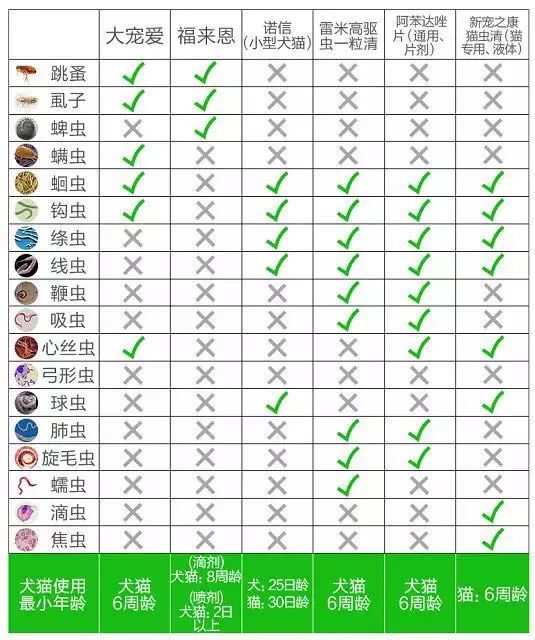 猫咪洗澡前驱虫还是洗澡后驱虫,猫咪体外驱虫和体内驱虫多久一次