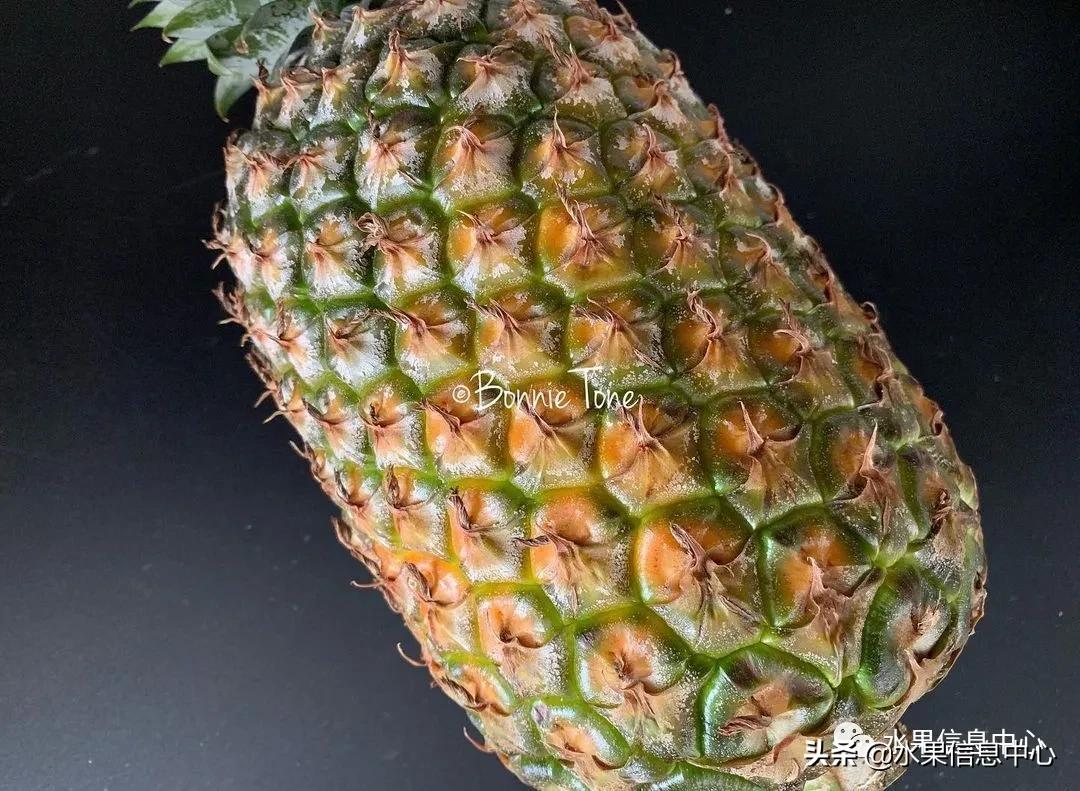 日本进口的菠萝,日本菠萝