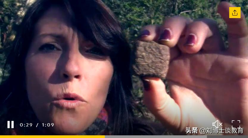 袋熊为什么会拉方形便便,袋熊为什么可以拉出方形便