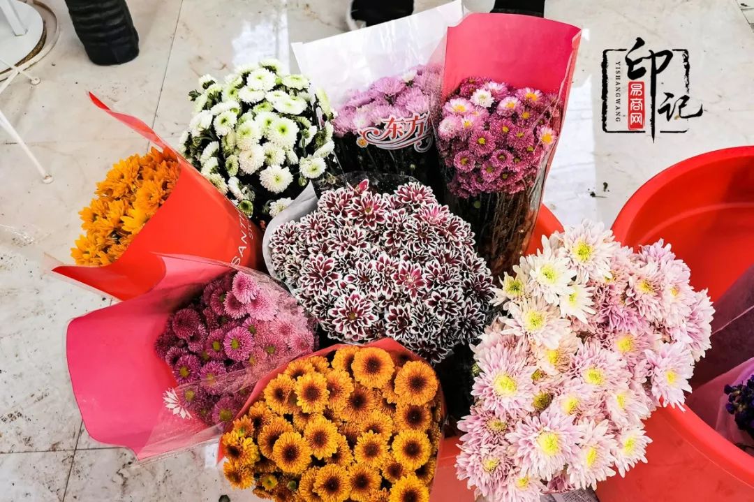 商丘道北花鸟批发市场,商丘花鸟宠物市场