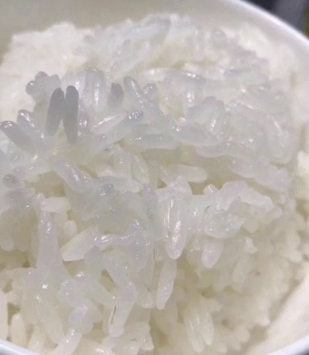 五常大米属于什么米种,五常大米怎么煮最好