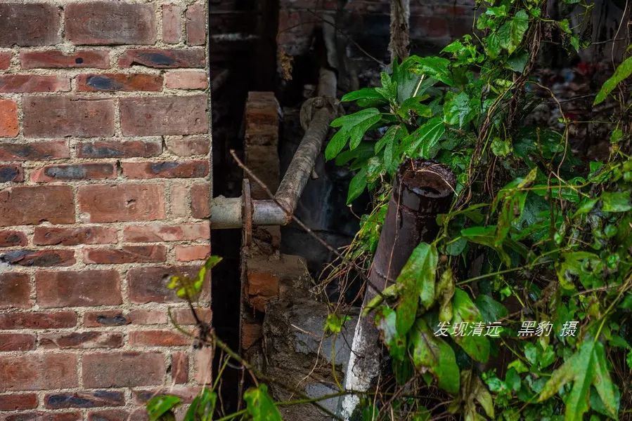 广东哪里有野温泉泡,藏在惠州的一个免费野温泉