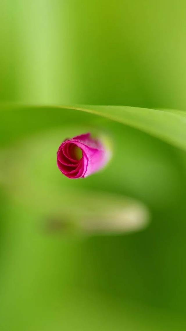 微信怎么设聊天背景,烟花聊天背景图微信