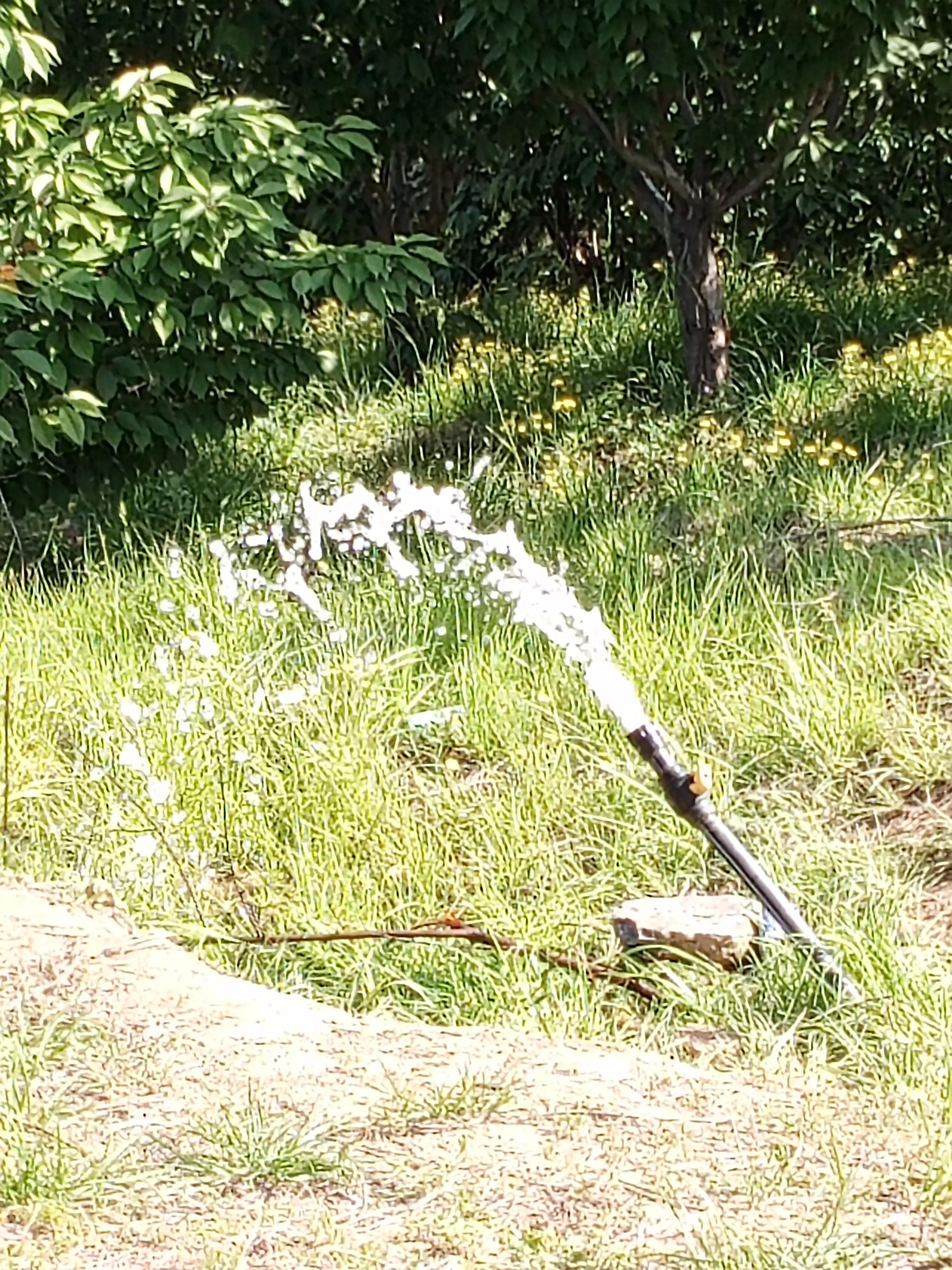 濮阳龙山公园有啥好玩的,濮阳龙山公园在什么地方