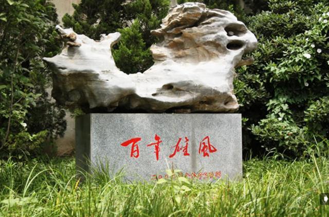 开封各高中一本率排名,河南开封状元第一名各科分数