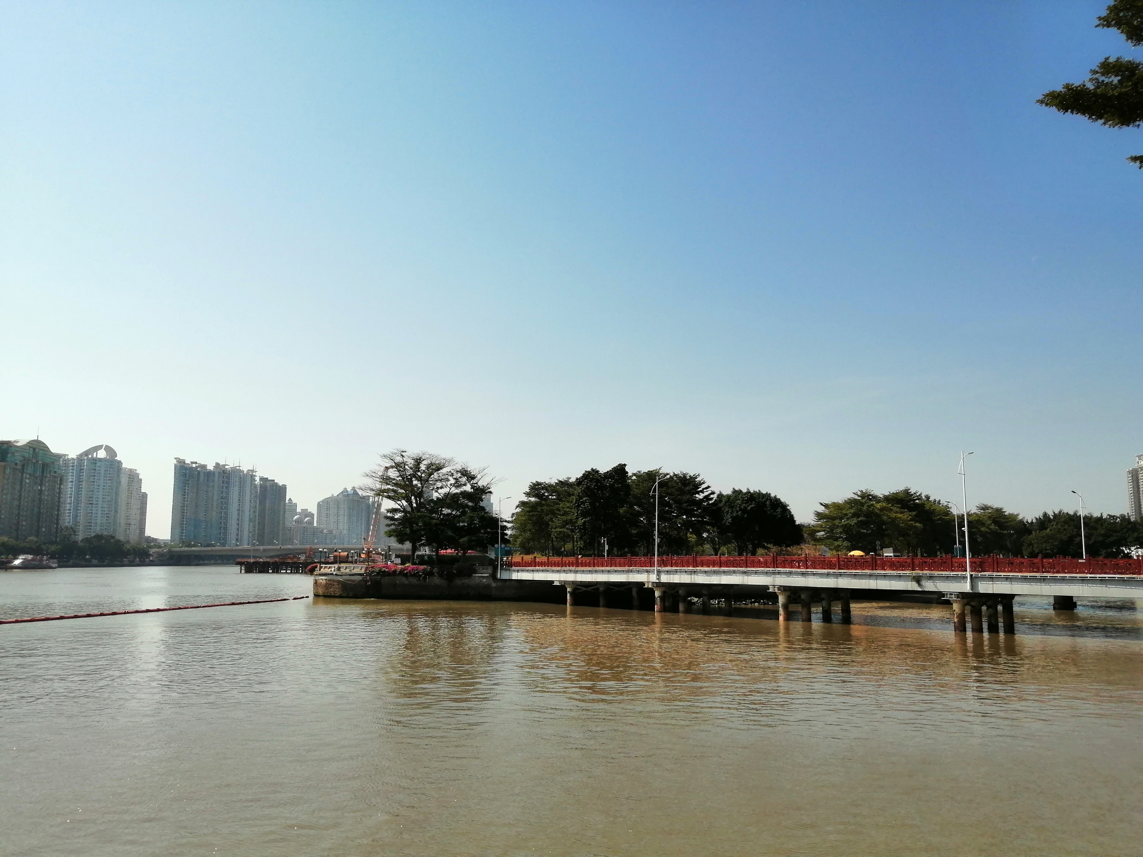 广州海心沙亚运公园广州塔格桑花,游广州海心沙公园